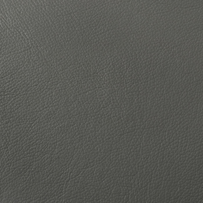 Buxton Top Grain Leather Upholstered Sofa in Graphite by CoasterEveryday