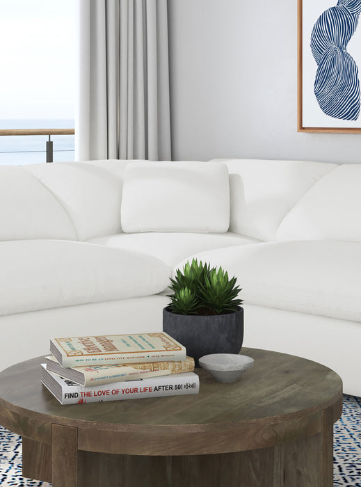 CoasterEveryday Raleigh boucle upholstered corner chair in ivory fabric