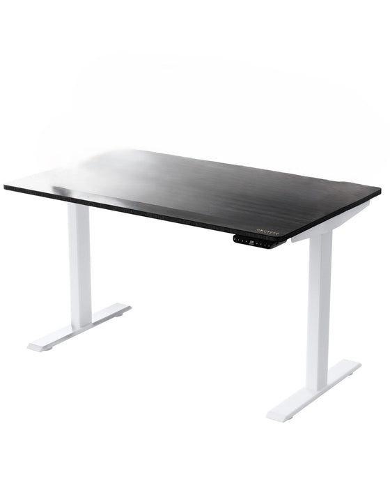 Adjustable Stainless Steel Computer Desk - Black And White