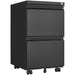 Giga metal 2-drawer locking filing cabinet with wheels, under desk mobile storage for letter, legal, and A4 documents in home office.