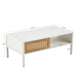 Giga 40.16-inch rattan coffee table with sliding door storage, metal legs, modern design for living room.