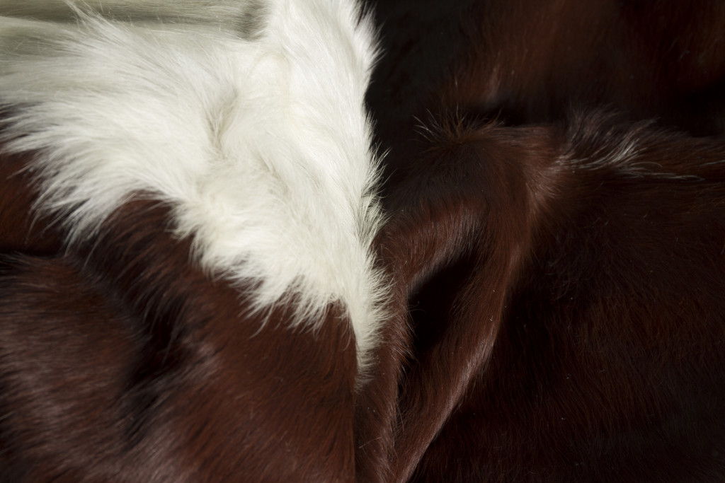 5' x 7' Cowhide Handmade Area Rug - Brown And White