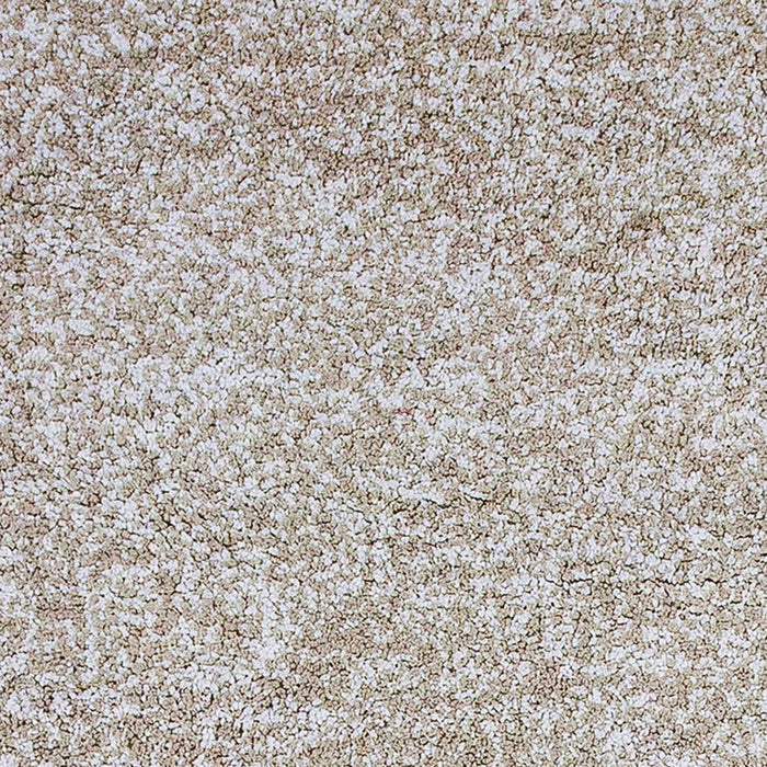 10' x 13' Heather Indoor Shag Rug - Ivory