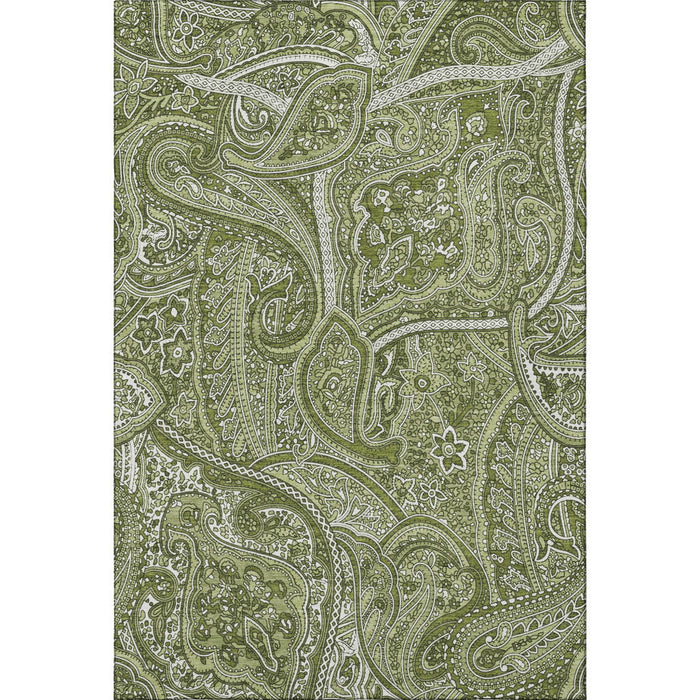 10' X 14' Paisley Washable Area Rug With UV Protection (652647) - Green / Ivory