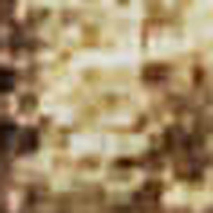 10' X 14' Abstract Washable Area Rug With UV Protection (707887) - Coffee / Beige