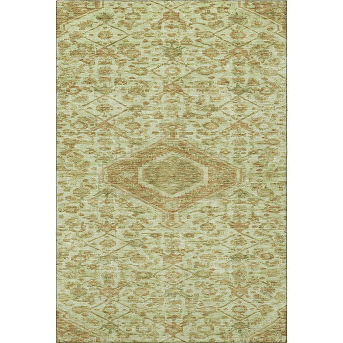 10' X 14' Floral Washable Area Rug With UV Protection (691806) - Sage / Salmon