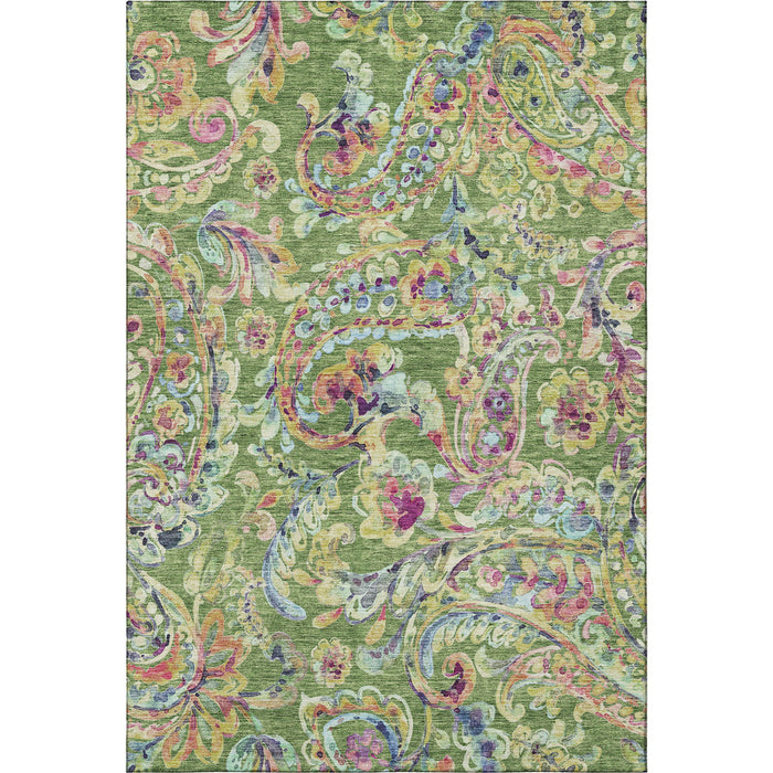 10' X 14' Paisley Washable Area Rug With UV Protection - Fern Green