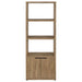 CoasterEveryday Tabby farmhouse media tower with adjustable shelf and two-door storage in mango finish