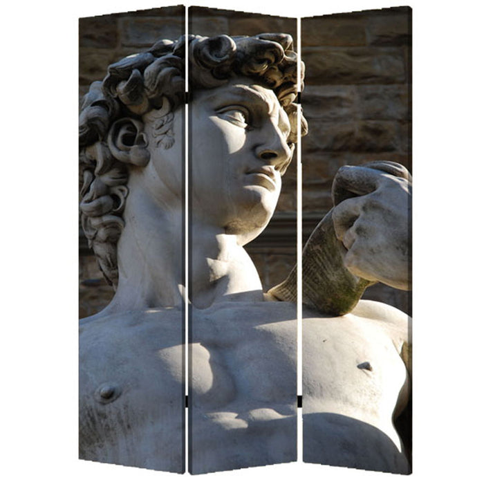 Wood Canvas Rome Screen - Multi Color