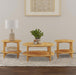 CoasterEveryday Camillo 3-piece round coffee and end table set in maple finish