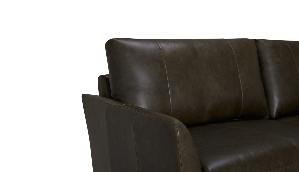 Palliser Customizable Sofa Soren Flared Arm- Alexandria Virginia & Washington DC