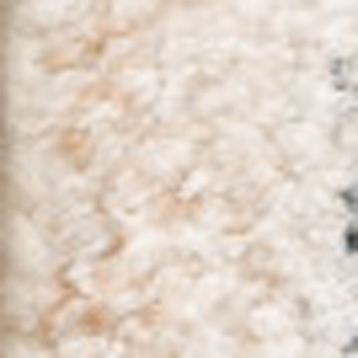 10' x 13' Oriental Hand Loomed Stain Resistant Area Rug With Fringe - Beige And Grey