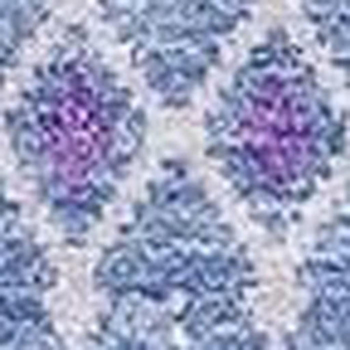 10' X 14' Tribal Washable Area Rug With UV Protection (657185) - Sky Blue / Ivory