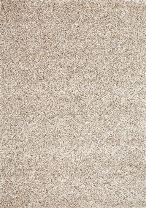 5' X 8' Geometric Area Rug (661291) - Beige / Natural