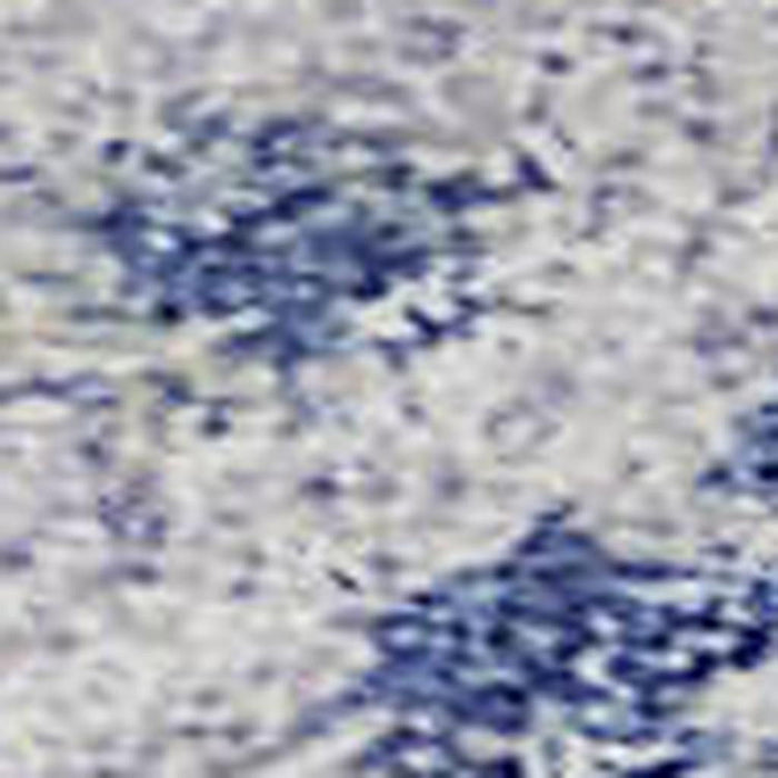 10' X 14' Damask Washable Area Rug With UV Protection (684346) - Sky Blue / Gray / Ivory