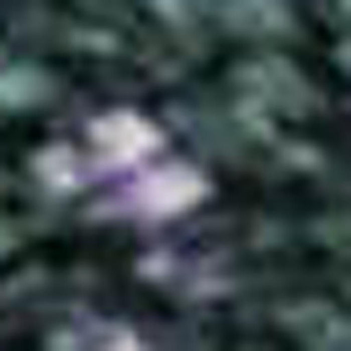 10' X 14' Abstract Washable Area Rug With UV Protection (698065) - Purple / Lime Green / Teal