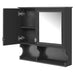 Giga wall-mounted medicine cabinet with mirrored door, open shelves, and bathroom storage for organizing toiletries.