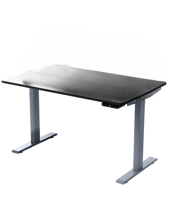 Dual Motor Electric Office Adjustable Standing Desk - Premier Gray