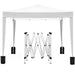 Giga 10x10 ft folding canopy with four removable sidewalls, portable outdoor event shelter, UPF 50+ gazebo for parties and camping