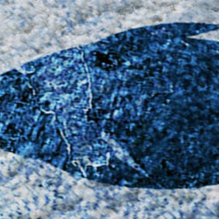 10' X 14' Nautical Washable Area Rug With UV Protection (652773) - Blue / Ivory