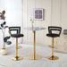 Pair of Giga modern bar stools with iron tube legs, soft cushions, and comfortable backrests, set of two for stylish seating.