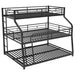 Black Giga bunk bed with twin, full, and queen options, featuring a long and short ladder and full-length guardrails.