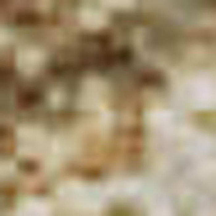 10' X 14' Abstract Washable Area Rug With UV Protection (707593) - Beige / Brown