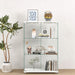 Giga modern display cabinet with LED lights, transparent tempered glass doors, two-door storage and three shelves inside