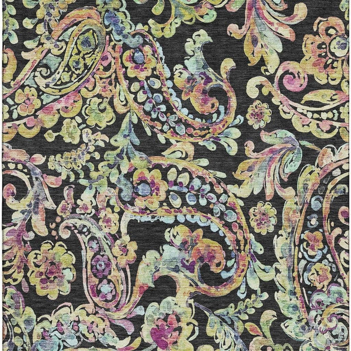 10' X 14' Paisley Washable Area Rug With UV Protection - Black