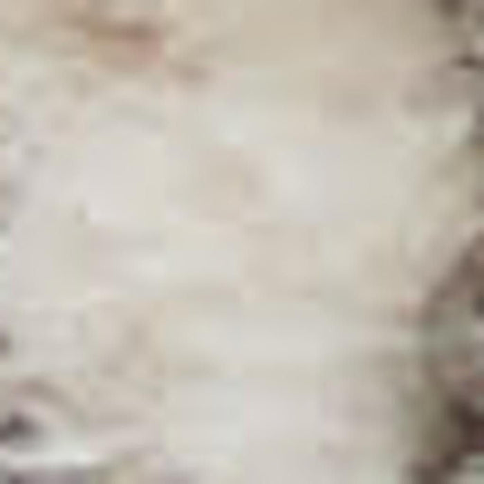 12' X 15' Medallion Power Loom Distressed Area Rug - Beige And Gray
