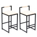 Giga elegant counter height bar stool set with backrests and footrests, includes two stylish stools for kitchen or bar area.