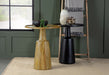 CoasterEssence Ixia round solid mango wood accent side table in black stain