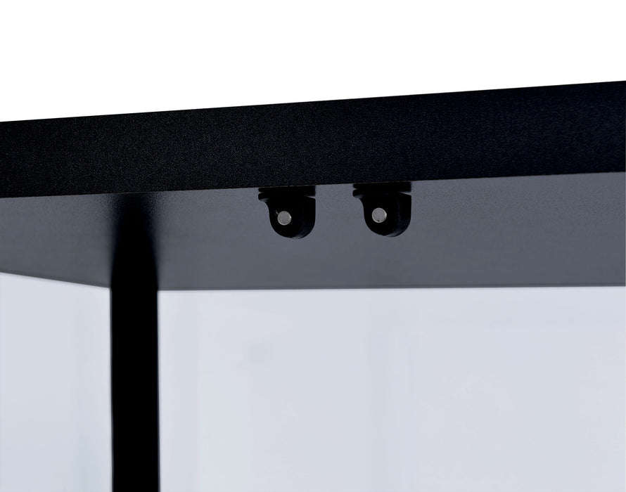 Delphinium 4-Shelf Clear Glass Curio Display Cabinet Black