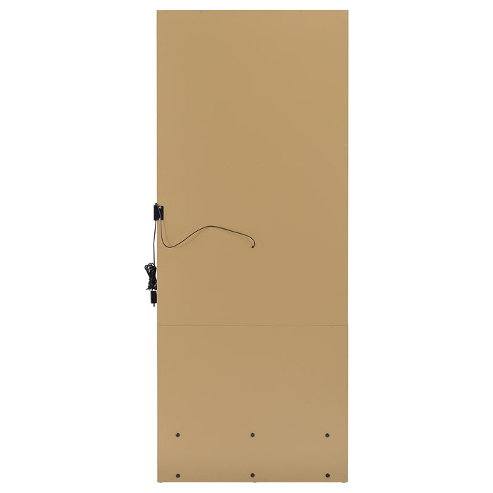 Spector 1-drawer Lighted Full-Length Floor Mirror Mango