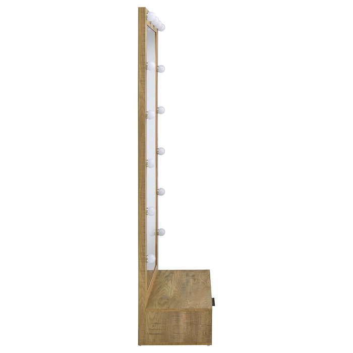 Spector 1-drawer Lighted Full-Length Floor Mirror Mango