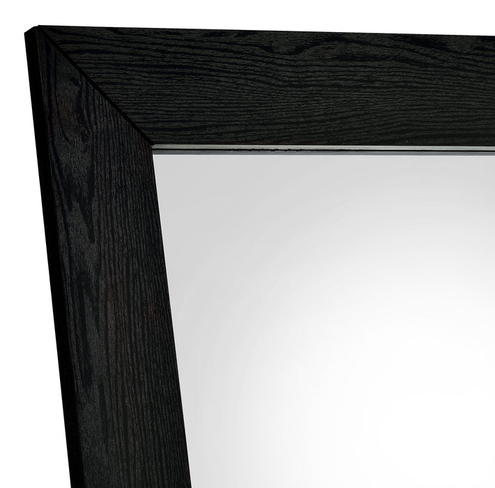 Cadence CoasterEveryday tempered glass full-length standing mirror in black oak frame