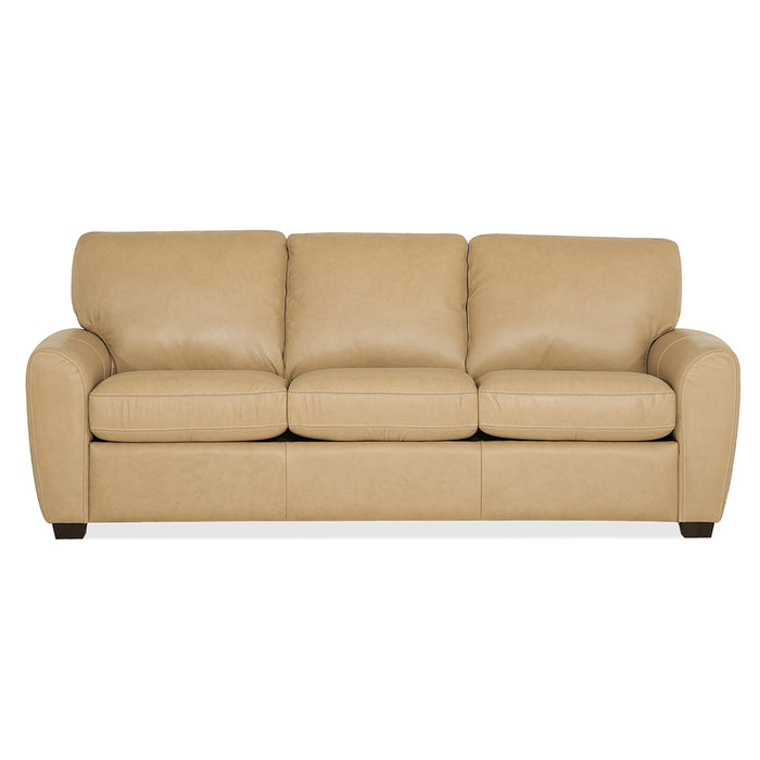 Palliser Customizable Sleeper Sofa Connecticut - Alexandria Virginia & Washington DC