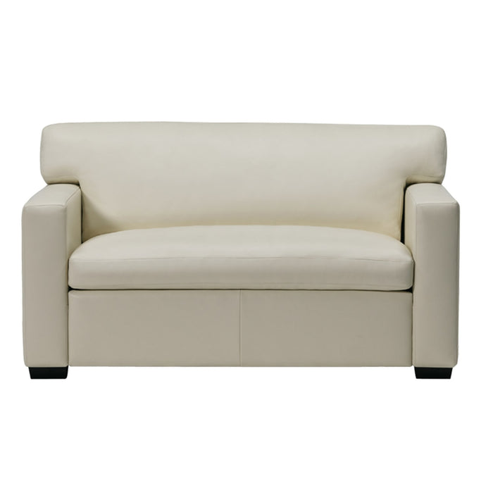 Palliser Customizable Sleeper Sofa Madison Sleep Track Arm - Alexandria Virginia & Washington DC