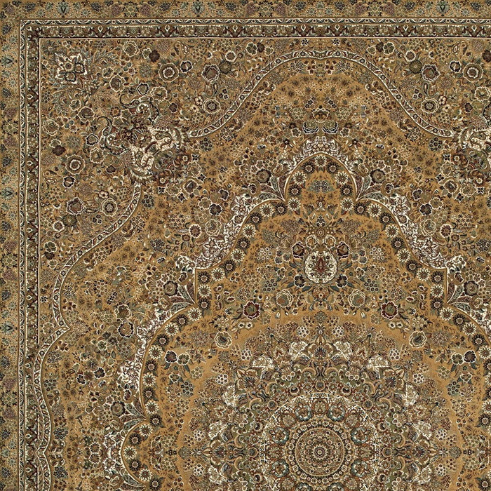 5' X 8' Medallion Area Rug With Fringe - Gold And Ivory
