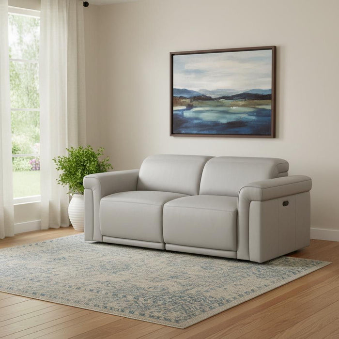 Italian Leather Power Reclining Loveseat (720488) - Light Gray / Black