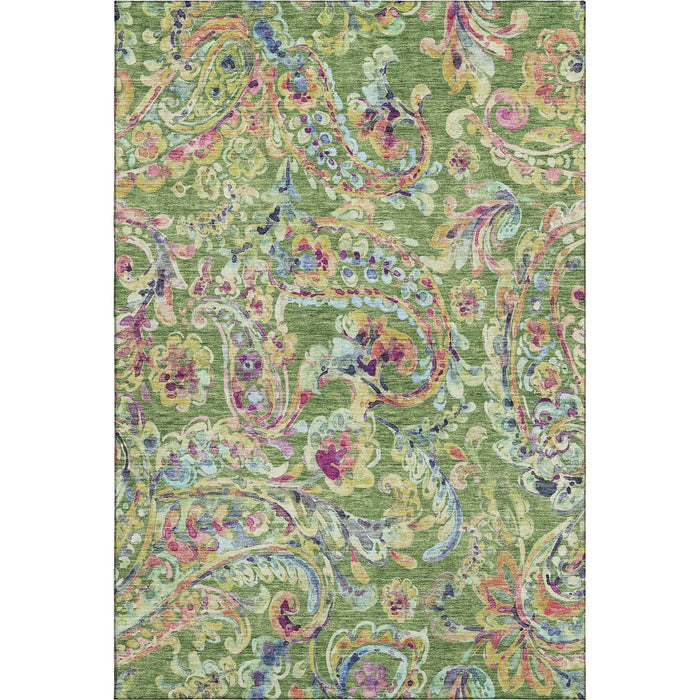 10' X 14' Paisley Washable Area Rug With UV Protection - Fern Green