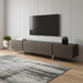 Ash gray and nickel wood TV stand with enclosed storage, stainless steel accents, designed for modern HomeRoots entertainment setups.