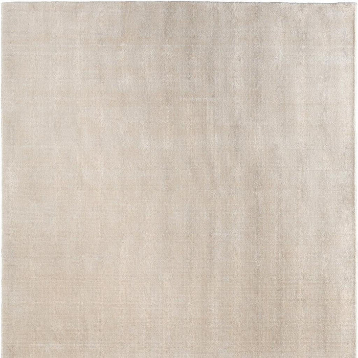 8' X 10' Hand Woven Area Rug (721564) - Ivory