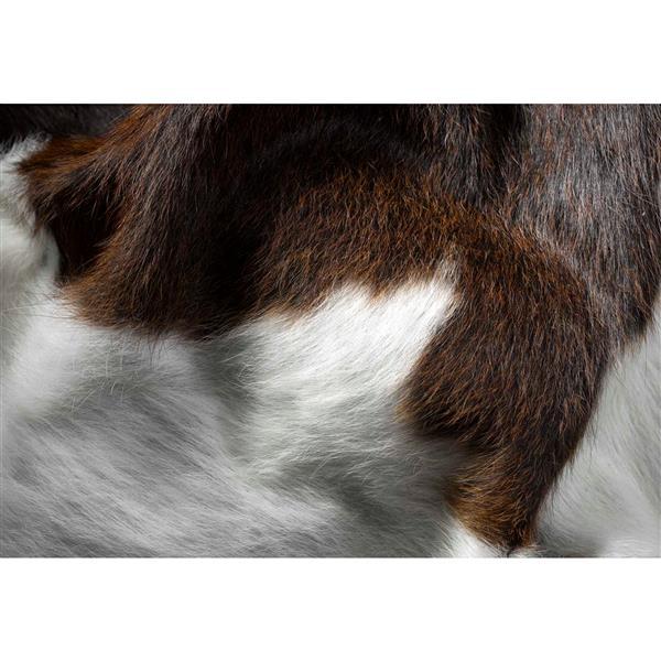 60" x 84" Cowhide - Area Rug - Chocolate And White