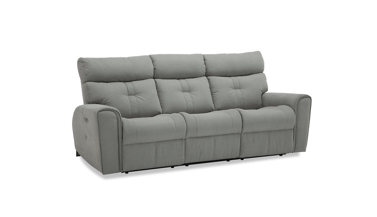 Palliser Customizable Sofa Acacia - Alexandria Virginia & Washington DC
