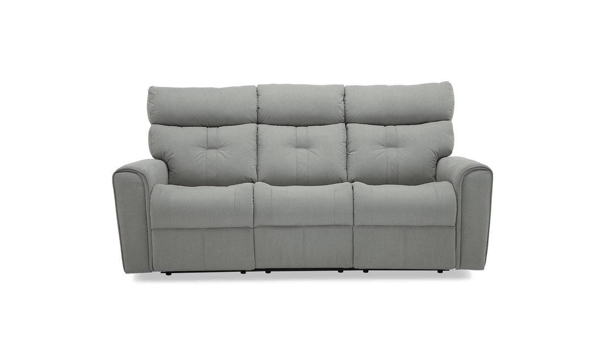 Palliser Customizable Sofa Acacia - Alexandria Virginia & Washington DC