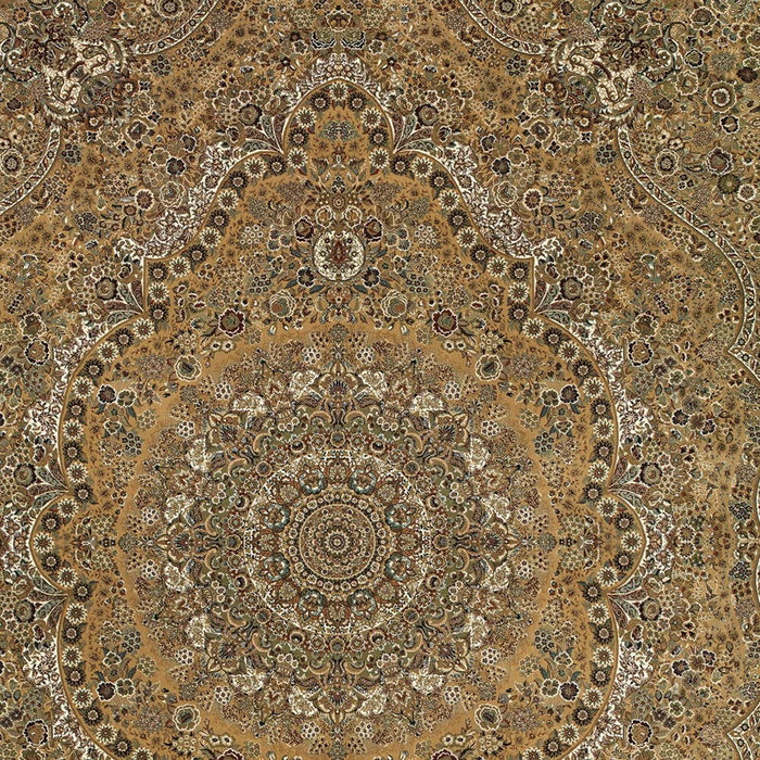 8' X 11' Medallion Area Rug With Fringe - Gold And Ivory