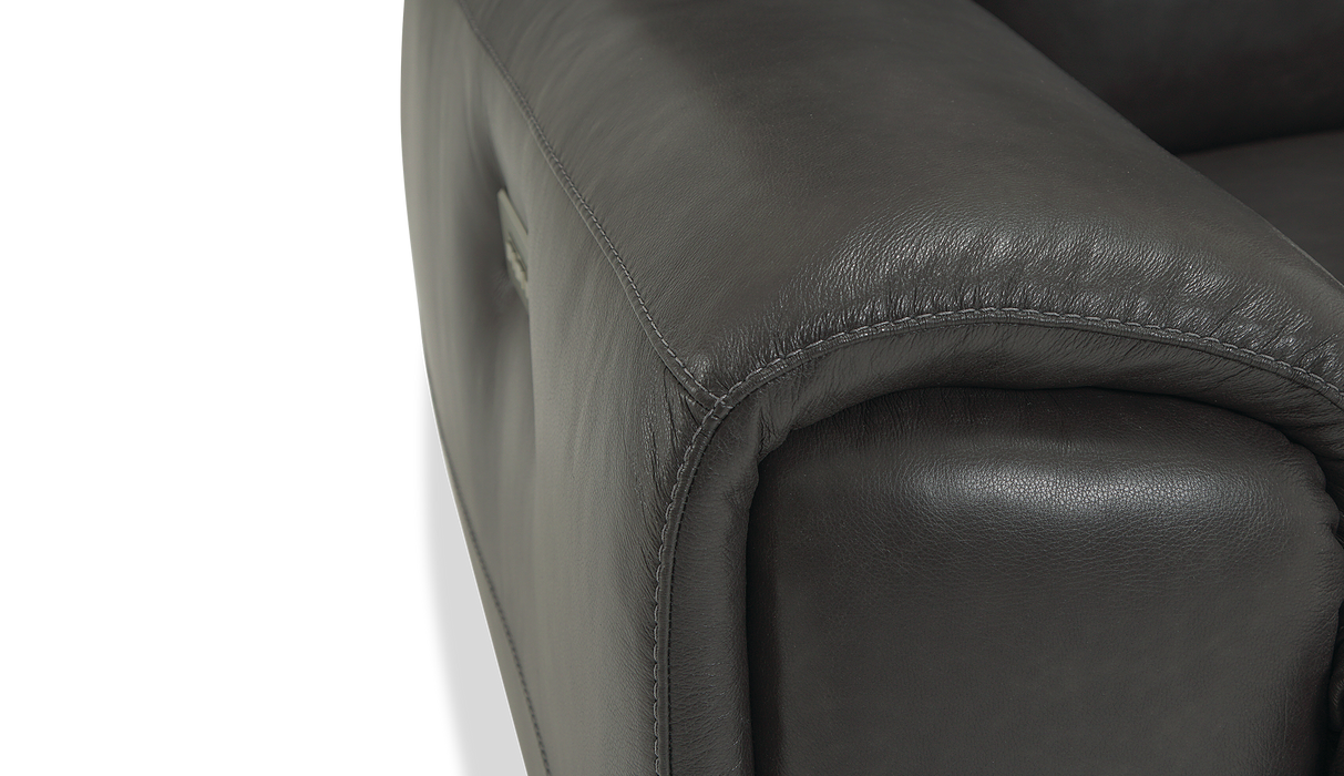 Palliser Customizable Recliners Aedon - Alexandria Virginia & Washington DC