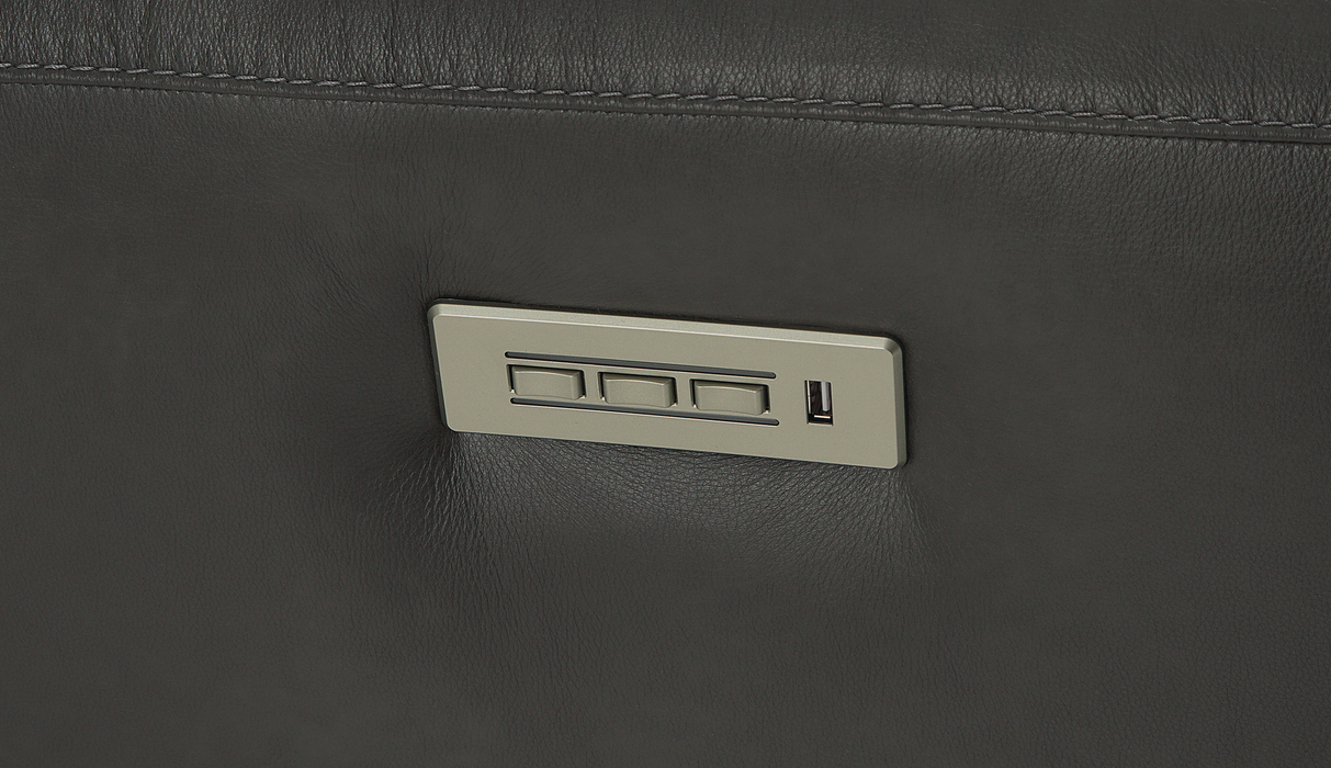 Palliser Customizable Recliners Aedon - Alexandria Virginia & Washington DC