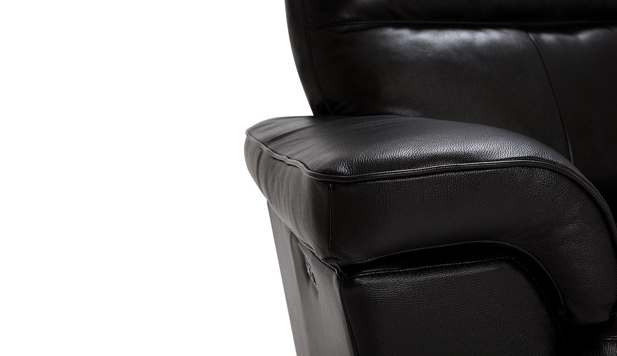 Palliser Customizable Sofa Alaska - Alexandria Virginia & Washington DC